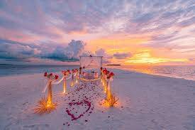 FareNia Travels