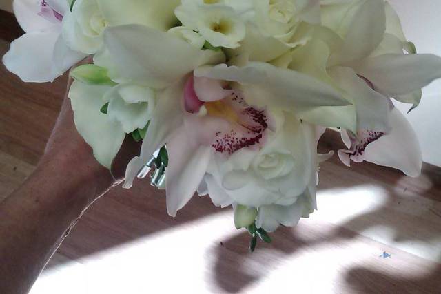 Designing Images Florist