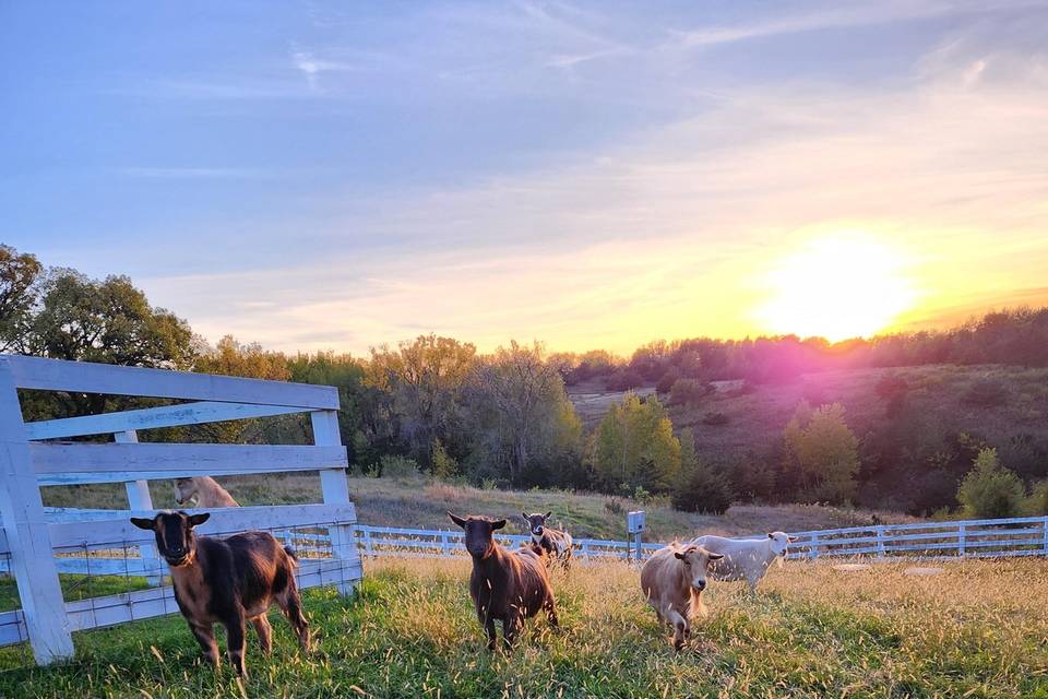 Almquist Farm