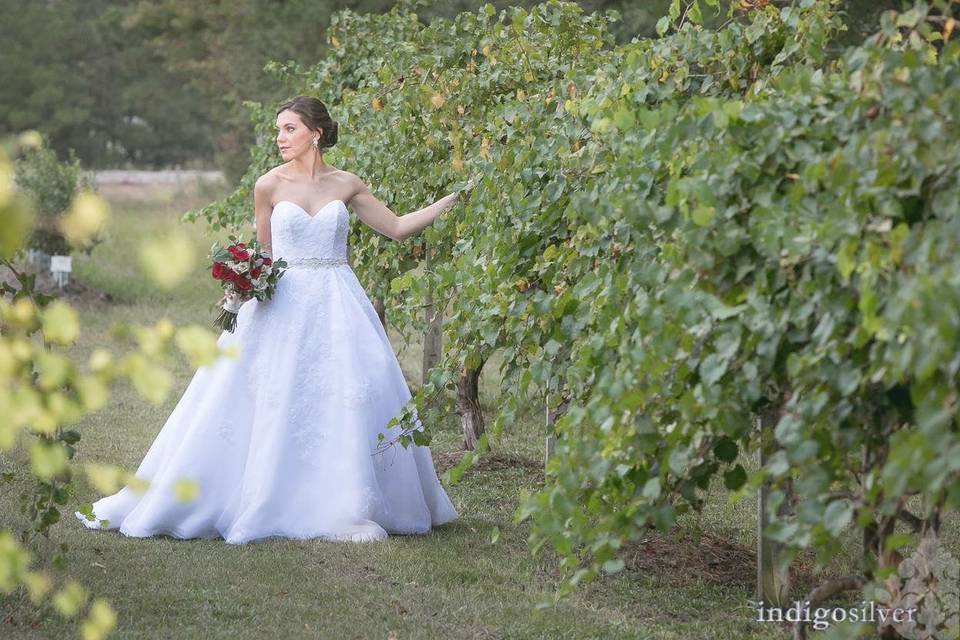 Bridal in grape field