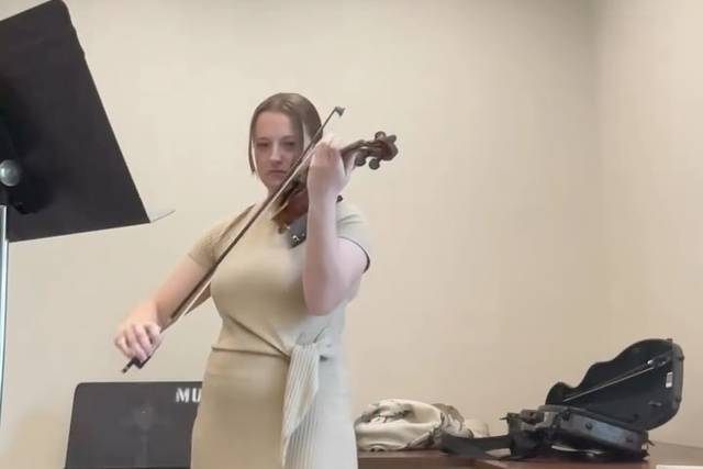 Luxury Violinist
