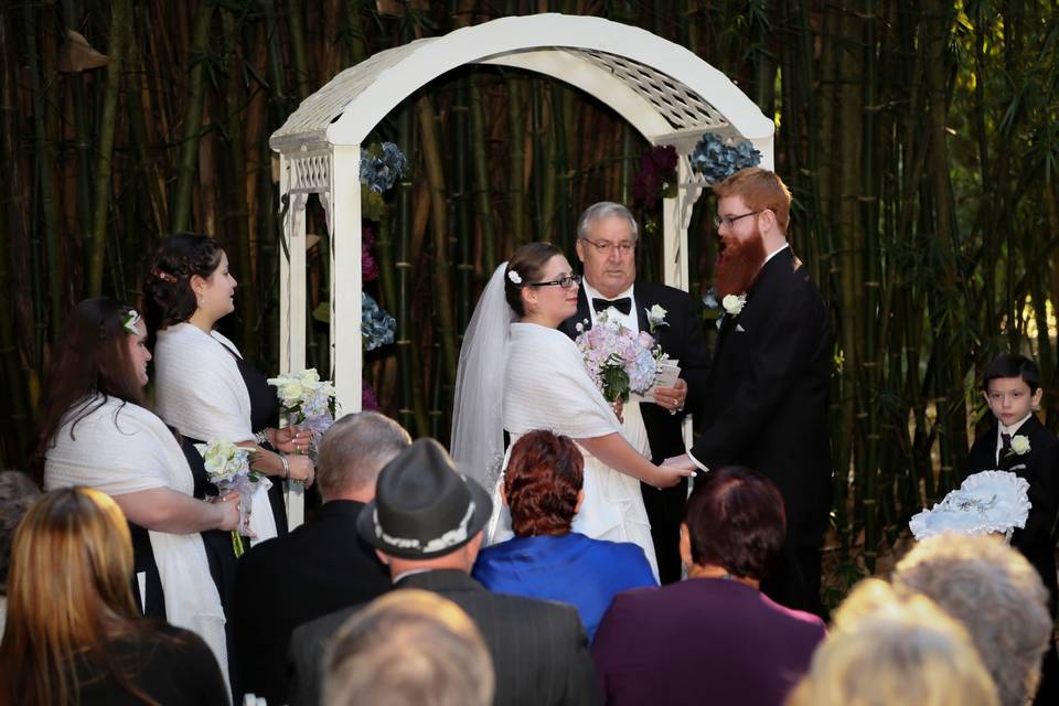 Ceremony in the bamboo garden