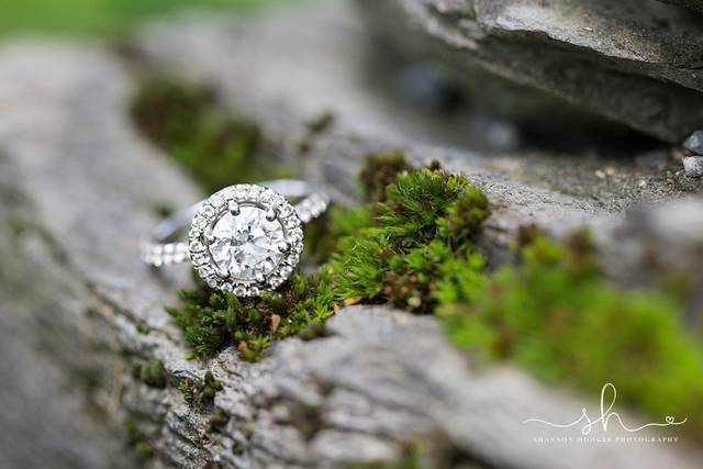 Shannon Hodges Photography