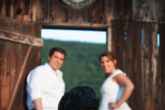 Rustic Wedding