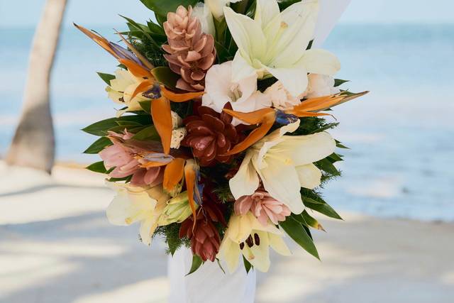 Tropical Flowers