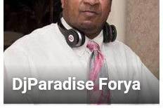 Dj Paradise Professional Mobile dj service