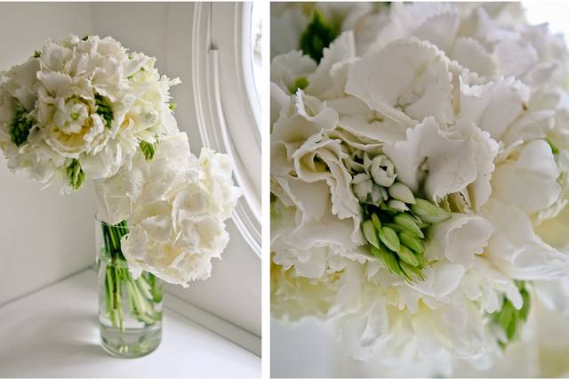 Boxwood Photography