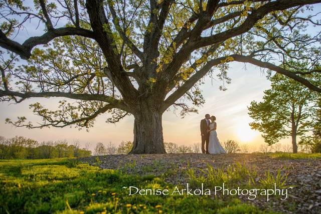 Denise Arkola Photography