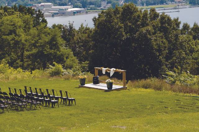 Ready for the Wedding
