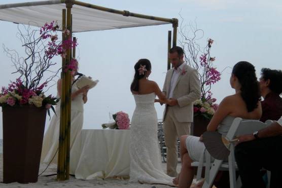 Arc Divine's Tahitian Bamboo Canopy / Chuppah, The National Hotel South Beach Miami FL