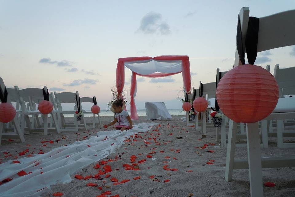 ArcDivine.com :: Miami Acrylic Chuppah Wedding Canopy Arch Rental Plastic Clear Glass