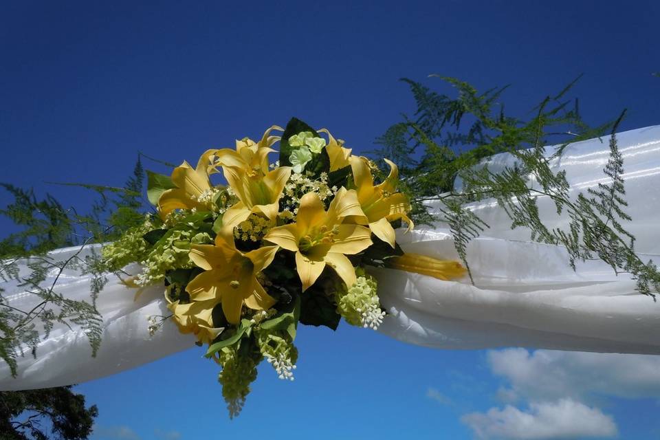 ArcDivine.com :: Miami Acrylic Chuppah Wedding Canopy Arch Rental Plastic Clear Glass