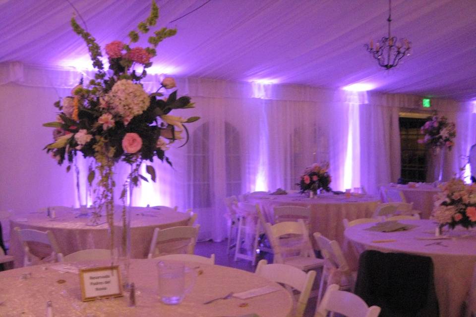 Wedding reception area