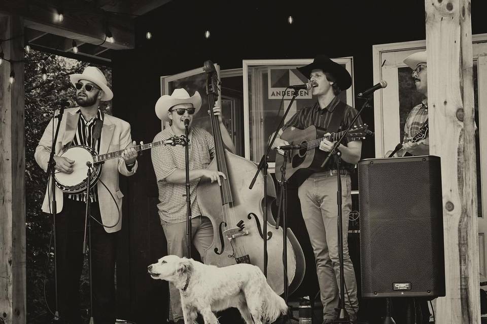 Performing at Cocktail Hour