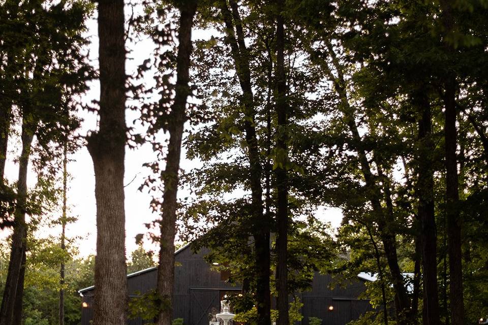 The Property