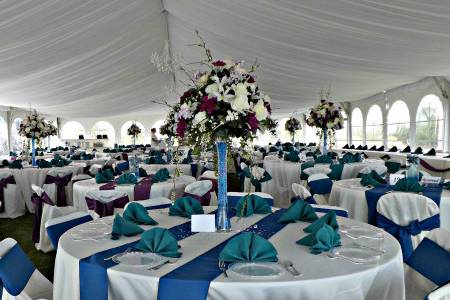 Peacock Wedding beneath a tent with a liner