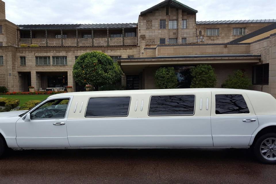 Arrive in Style Limousine