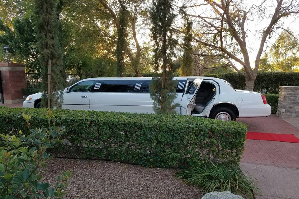 Arrive in Style Limousine