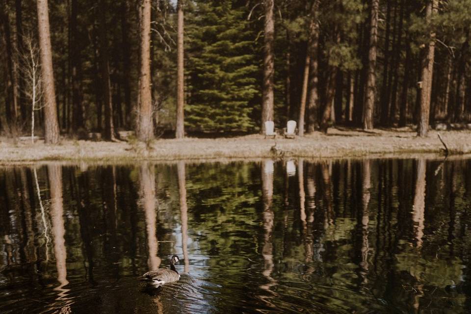 Osprey Point Pond