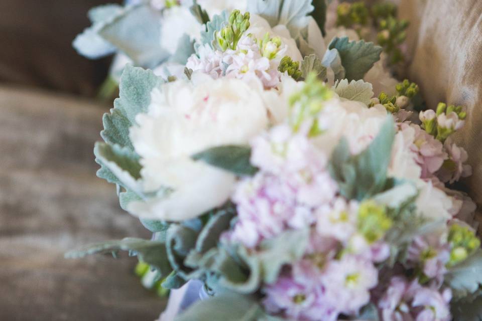 Pink and white Peonies