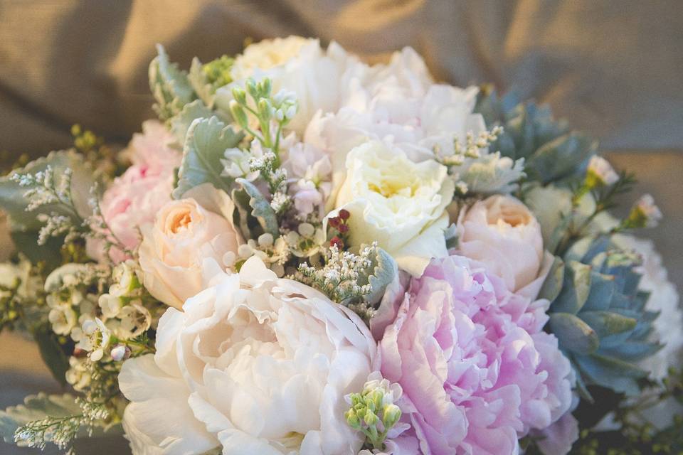 Pink and white Peonies