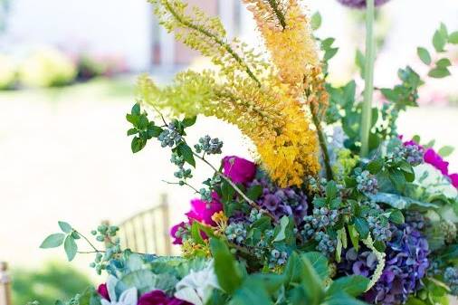 Colorful flowers