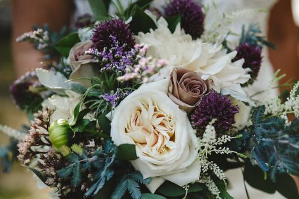 Hydrangeas, Blush Flowers