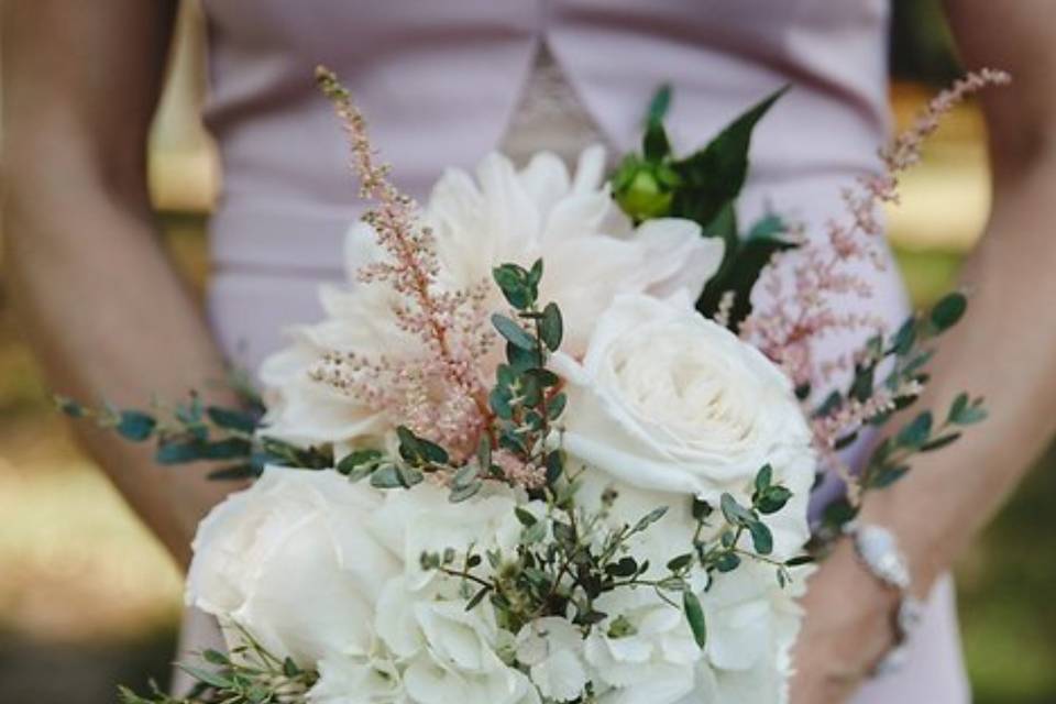 Hydrangeas, Blush Flowers