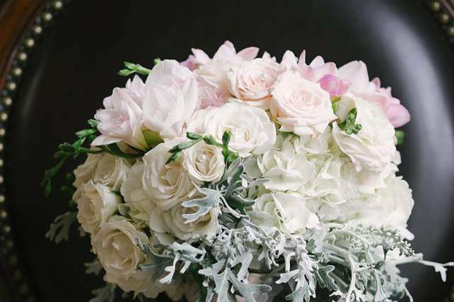 Dusty Miller Foliage