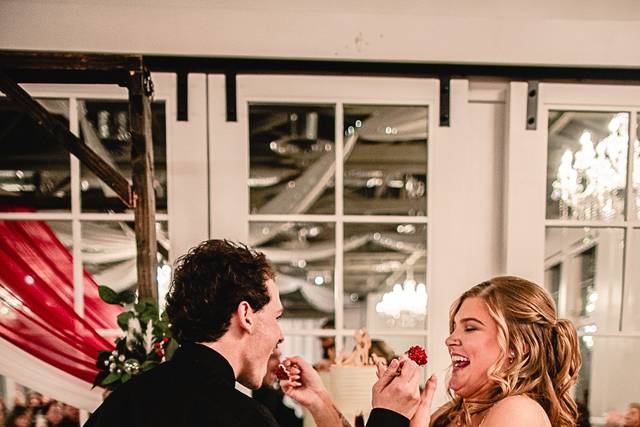 Cake Cutting