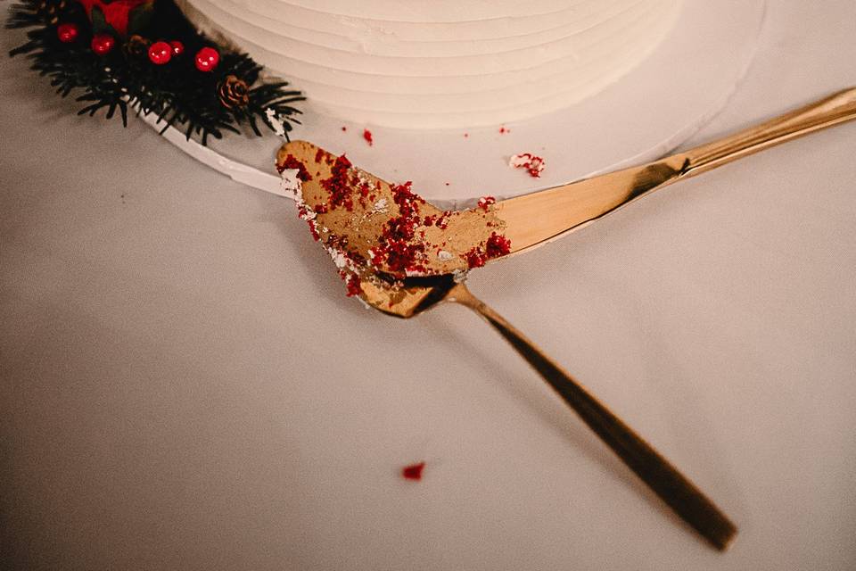 Cake Cutting