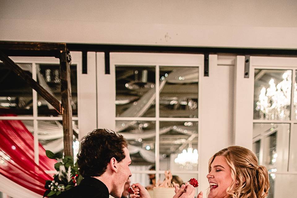 Cake Cutting