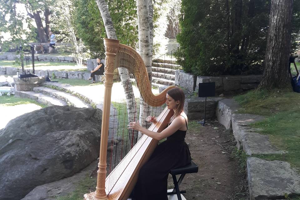 Wedding in Camden, ME