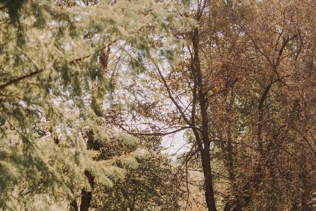 Nessa K Photography