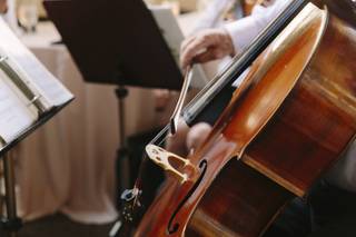 Camellia String Quartet