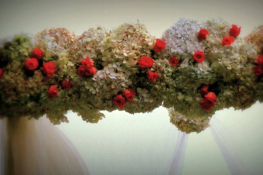 Amazing Weddings Costa Rica