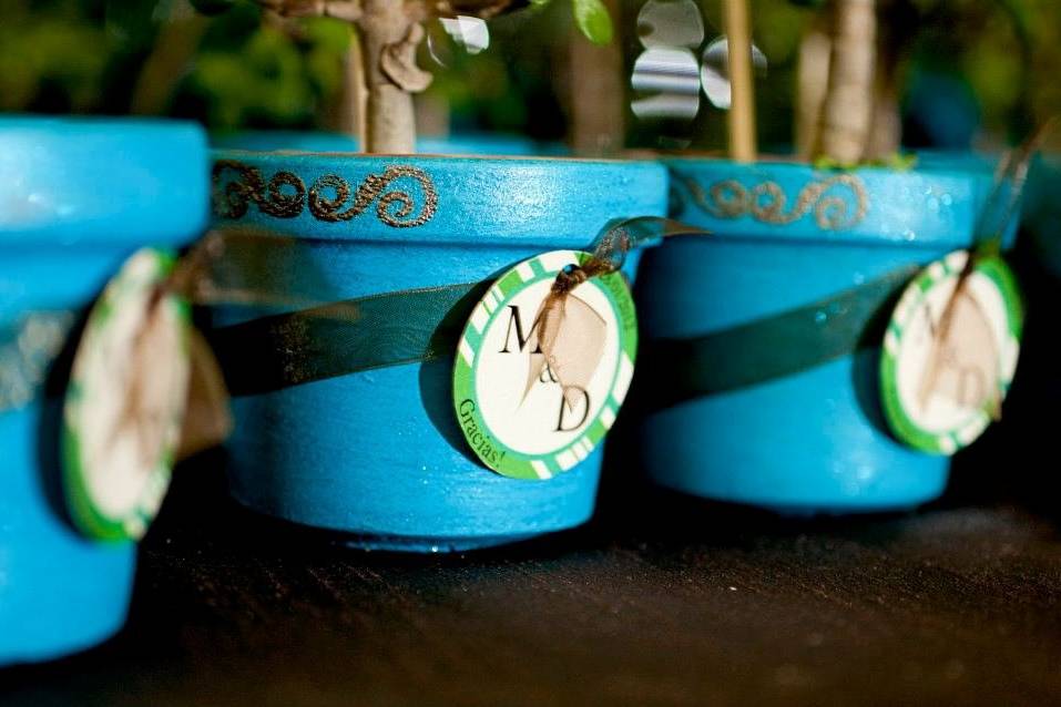 Amazing Weddings Costa Rica