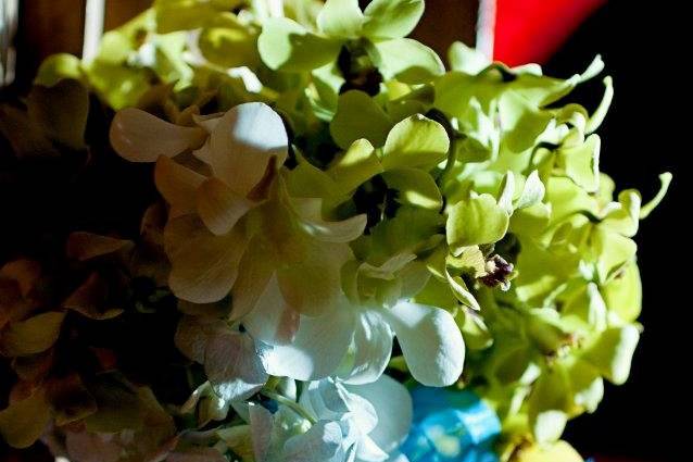 Amazing Weddings Costa Rica