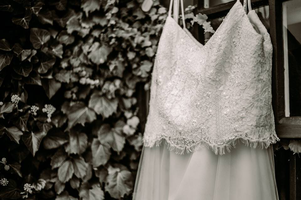 Dress hanging in ivy plant