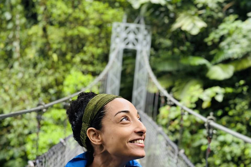 Hanging Bridges