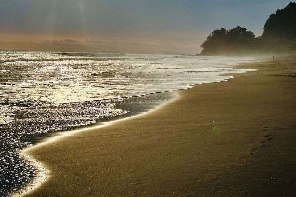 Our Beach Is Everything