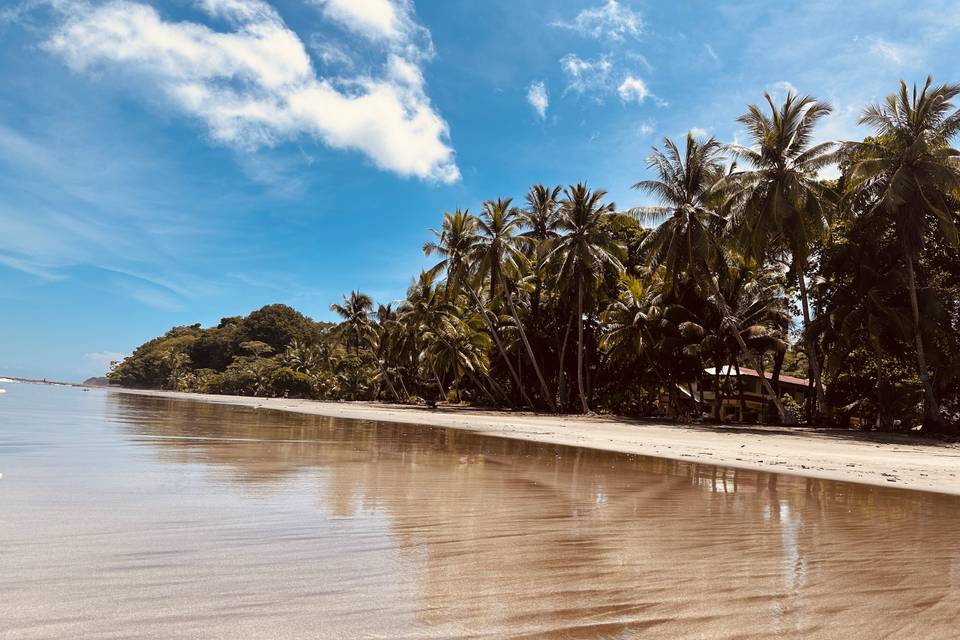 Beach Options