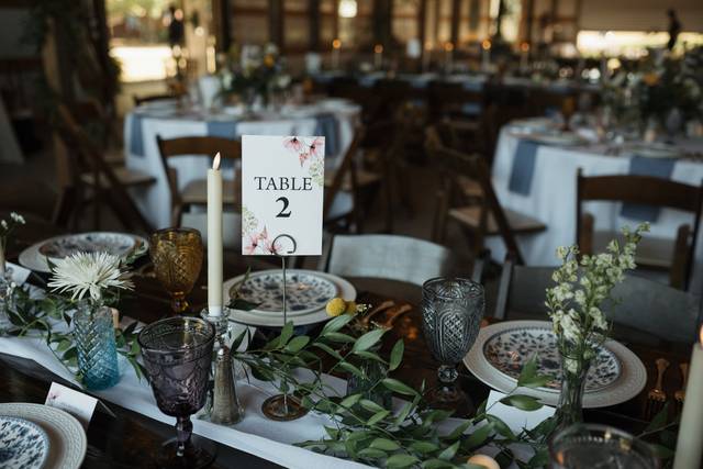 Lisa Williams Event Planning