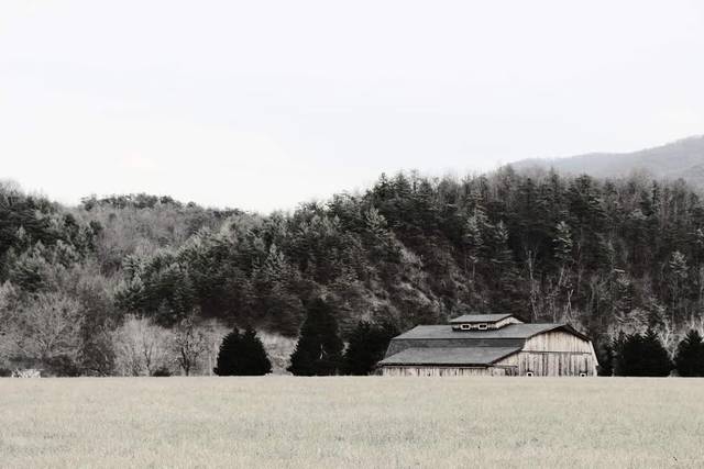 Exterior and greenery