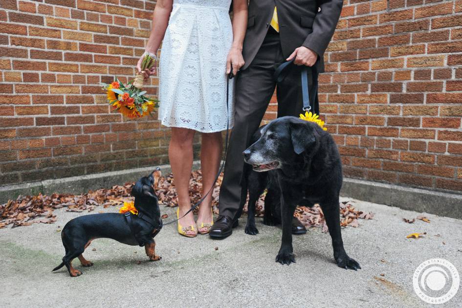 Ringbearers