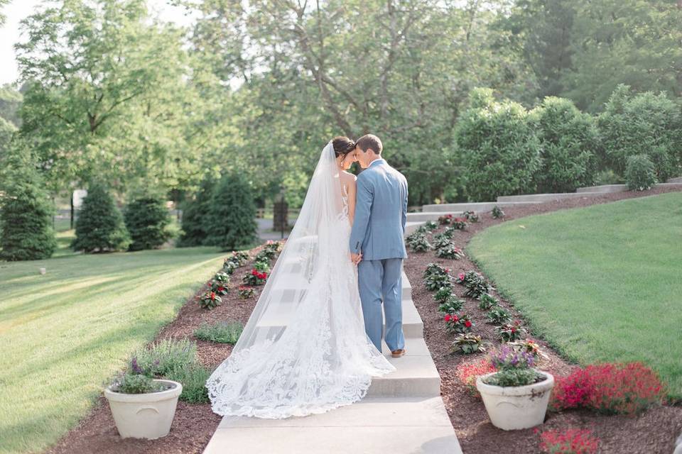 Stunning veils