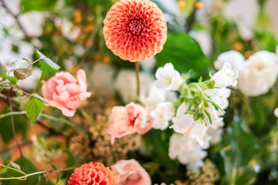 Moraine farm wedding