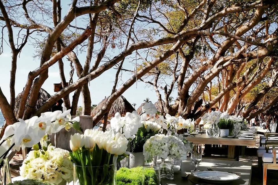 Rocco Troyani Signature Events