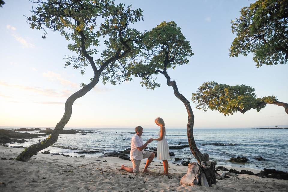 Beach Glass Weddings