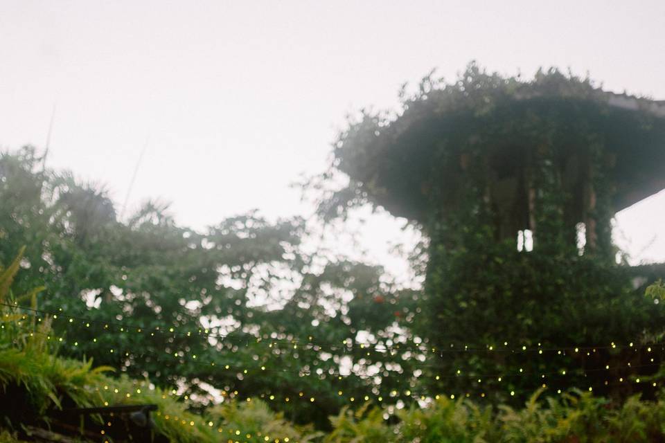 Hacienda Siesta Alegre Wedding